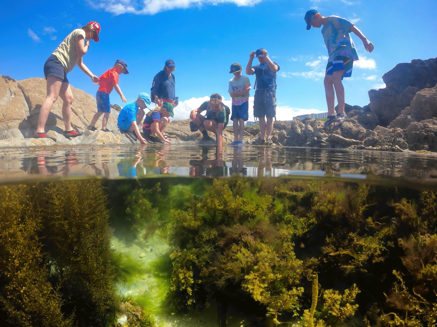 Rockpool ramble with Newquay Wild Activities