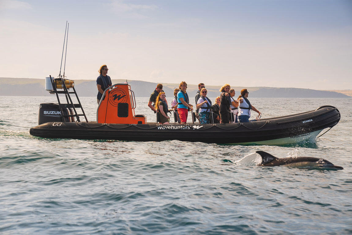 Wavehunters - Sea safari rib - Dolphin spotting