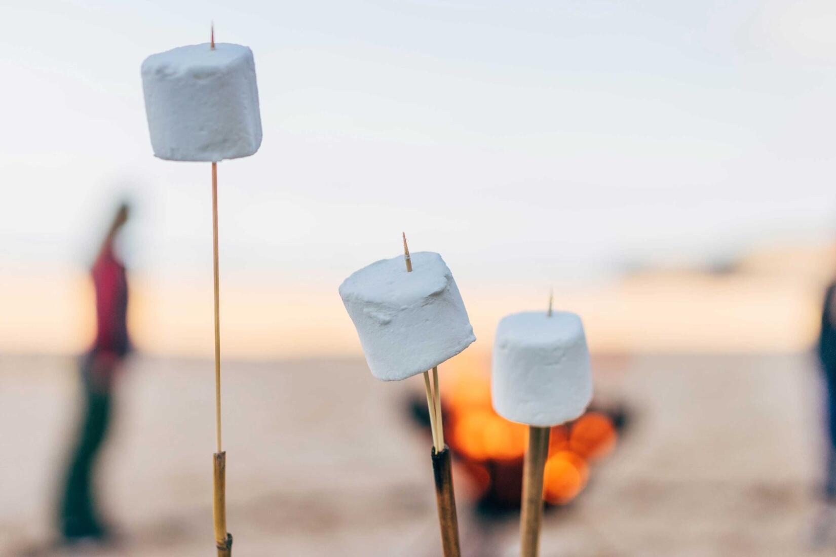 Beach School Marshmallows Fire