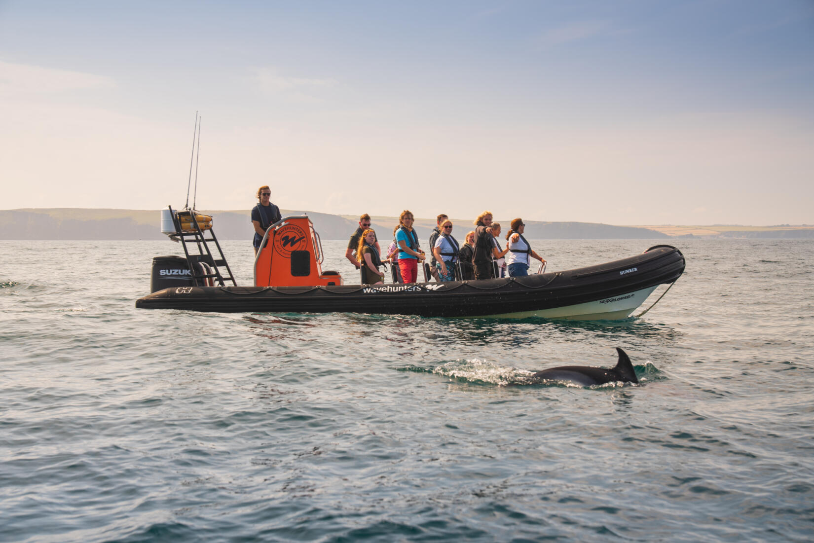 Wavehunters boat trip - dolphin