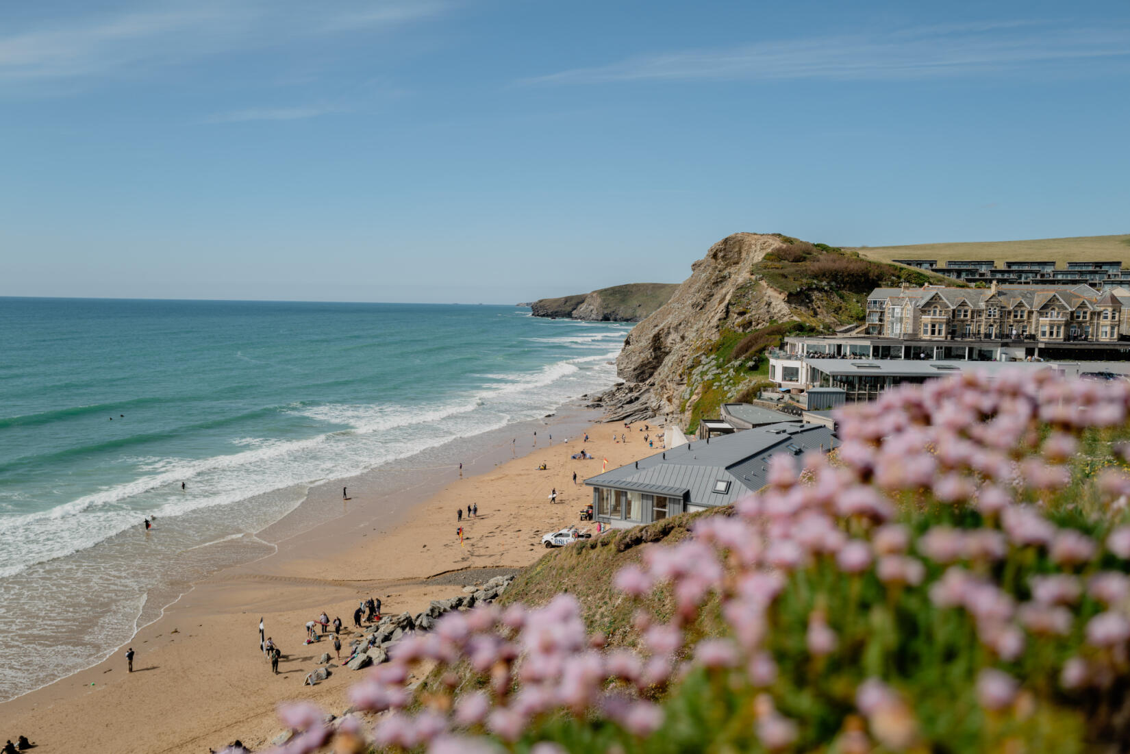 Beach with wild purple flowers