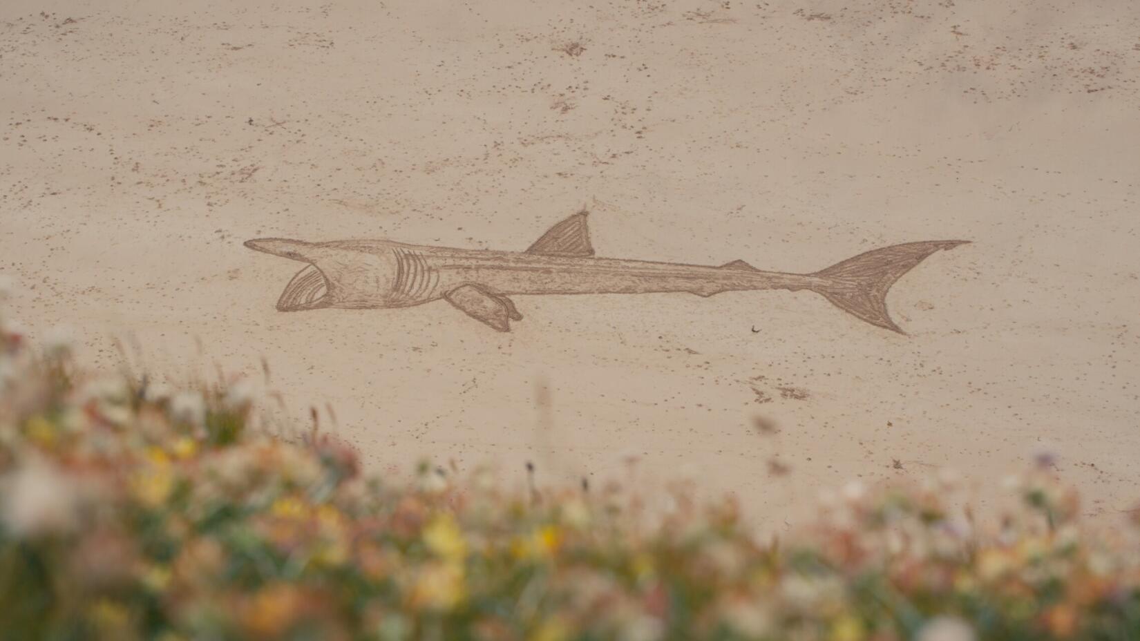 Sonia Shomalzadeh sand art basking shark