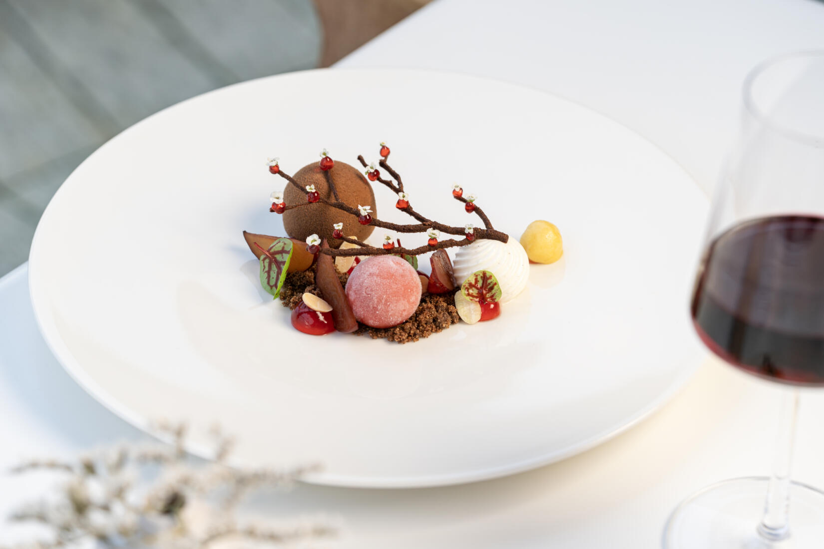 chocolate delice with plum and cherry sorbet