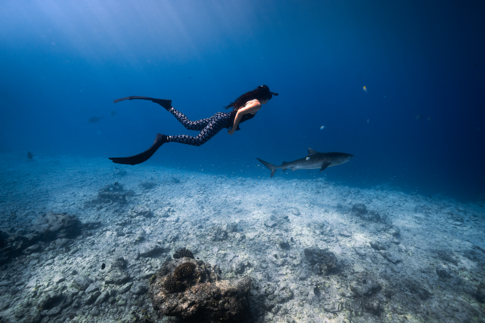 Janavi Kramer diving with sharks